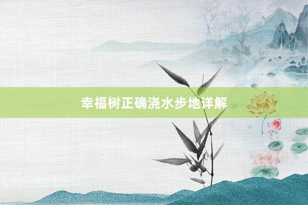 幸福树正确浇水步地详解
