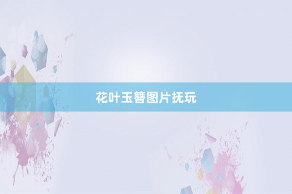 花叶玉簪图片抚玩